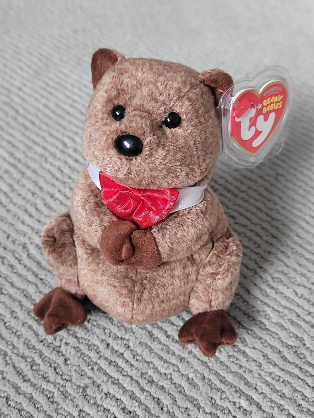 Punxsutawney Phil 2009 Groundhog